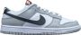 Nike Dunk Low SE Lottery Pack Grey Fog DR9654-001 Grijs Schoenen - Thumbnail 1