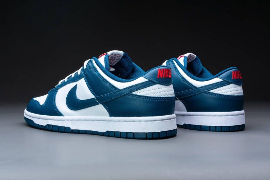 Nike Dunk Low Valerian Blue DD1391-400 BLAUW Schoenen