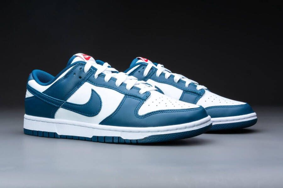 Nike Dunk Low Valerian Blue DD1391-400 BLAUW Schoenen