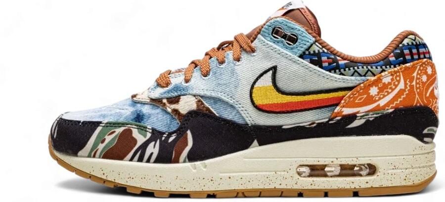 Nike Air Max 1 SP Concepts Heavy