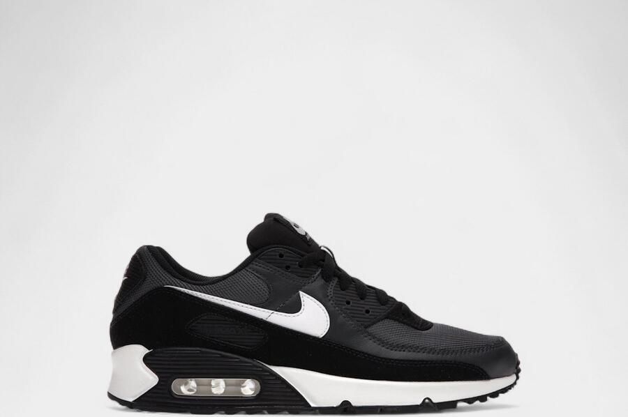 Nike Lage Sneakers Air Max 90 Iron Grey