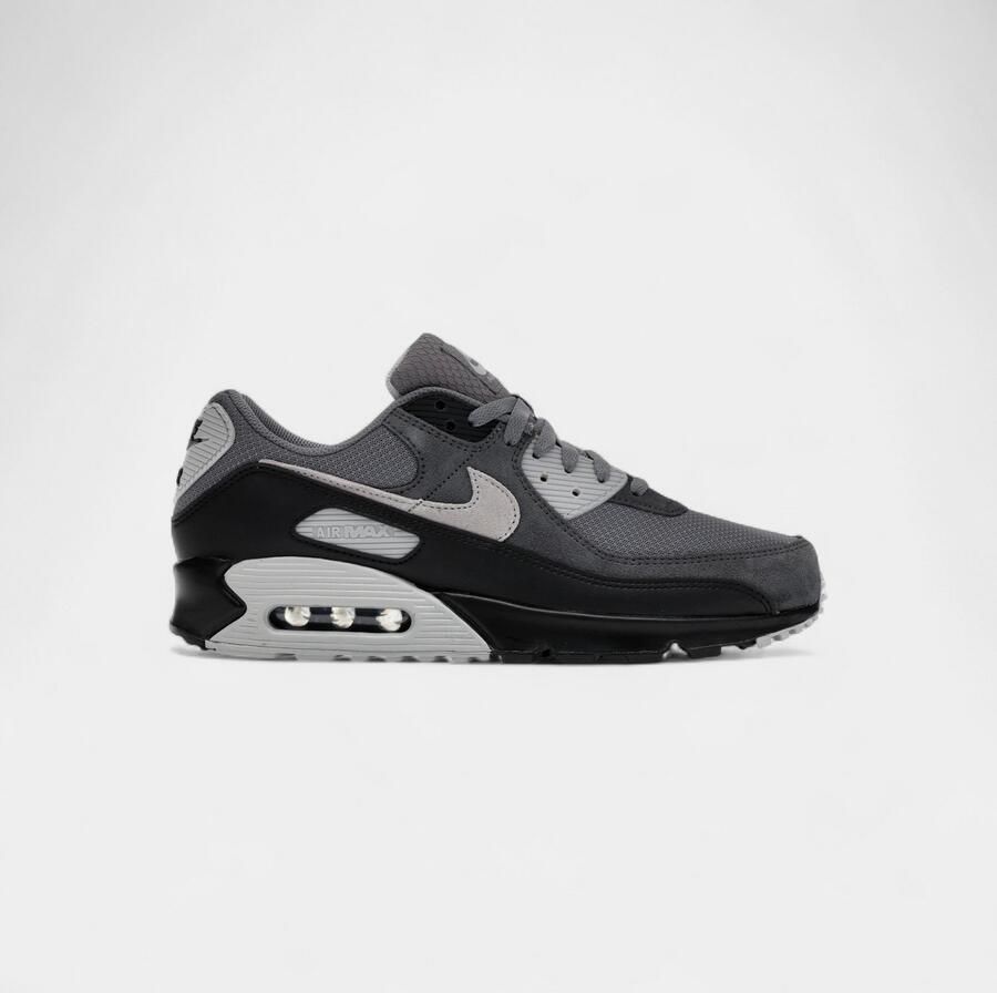 Nike Lage Sneakers Air Max 90 Smoke Grey Black Photon Dust