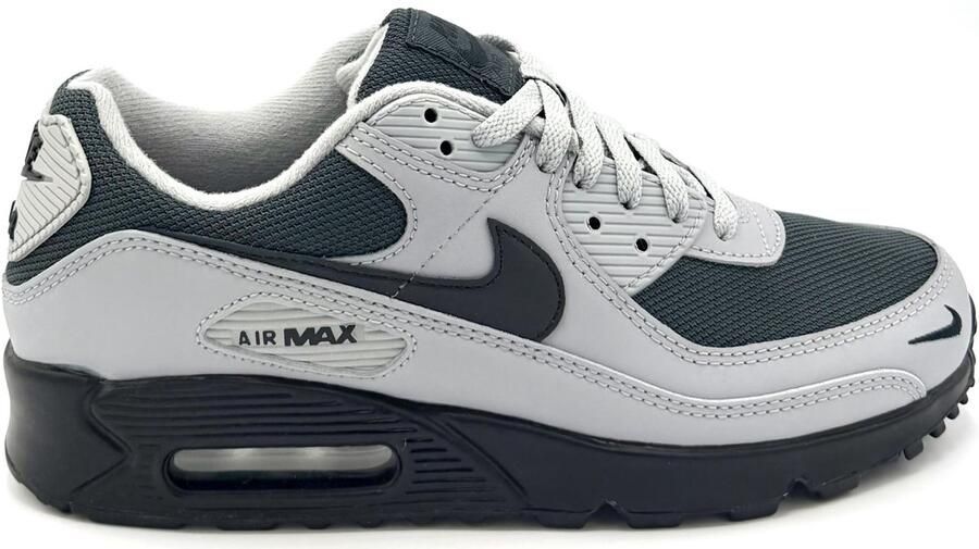 Nike Herenschoenen Air Max 90 Grijs- Heren Grijs
