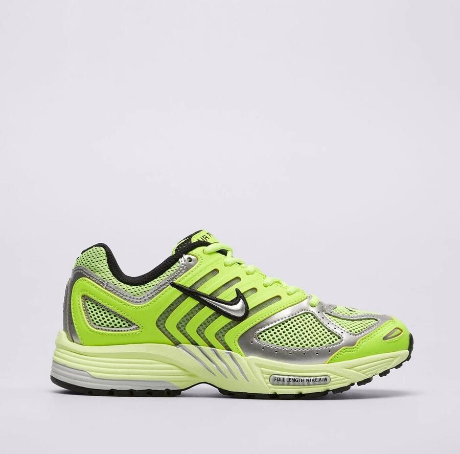 Nike Sportswear Sneakers laag 'AIR PEGASUS 2005'