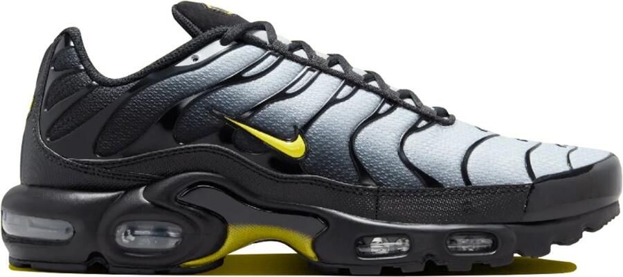 Nike Air Max Plus TN Heren Sneakers Schoenen DM0032