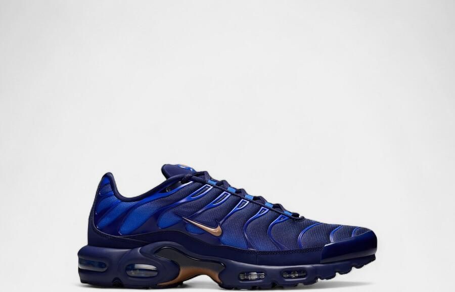 Nike Lage Sneakers Air Max Plus French Football Federation