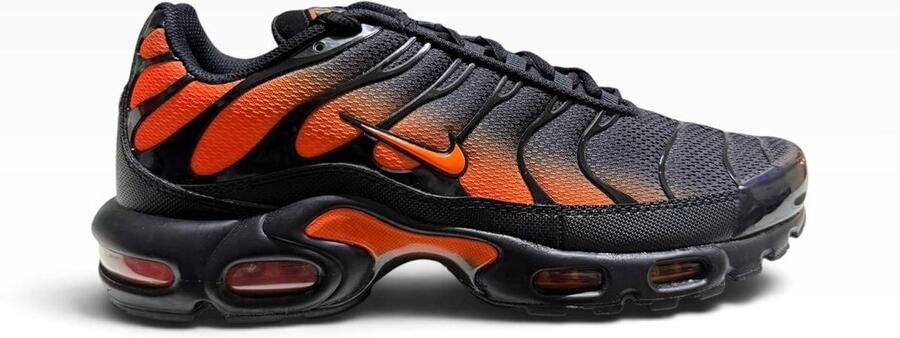 Nike Lage Sneakers Air Max Plus