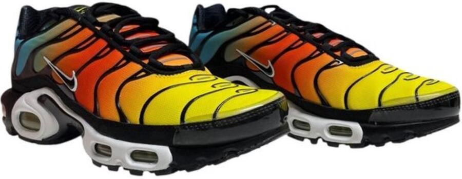 Nike Air Max Plus Multi color