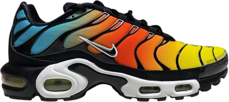 Nike Air Max Plus Multi color
