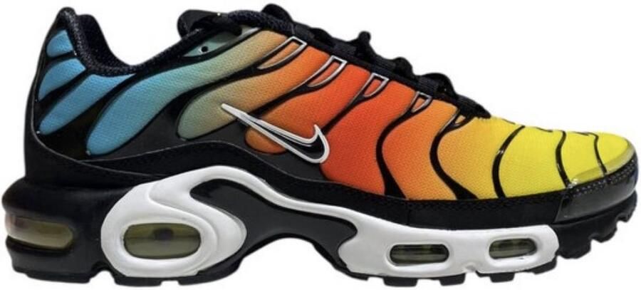 Nike Air Max Plus Multi color
