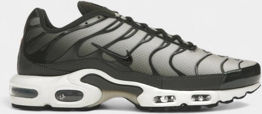 Nike Lage Sneakers Air Max Plus Sequoia Cargo Khaki - Foto 1