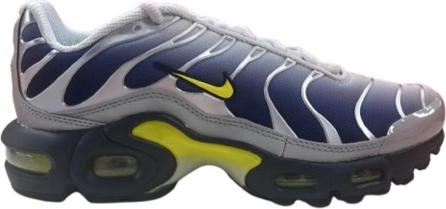 Nike Air Max Plus Sneakers Blauw Groen