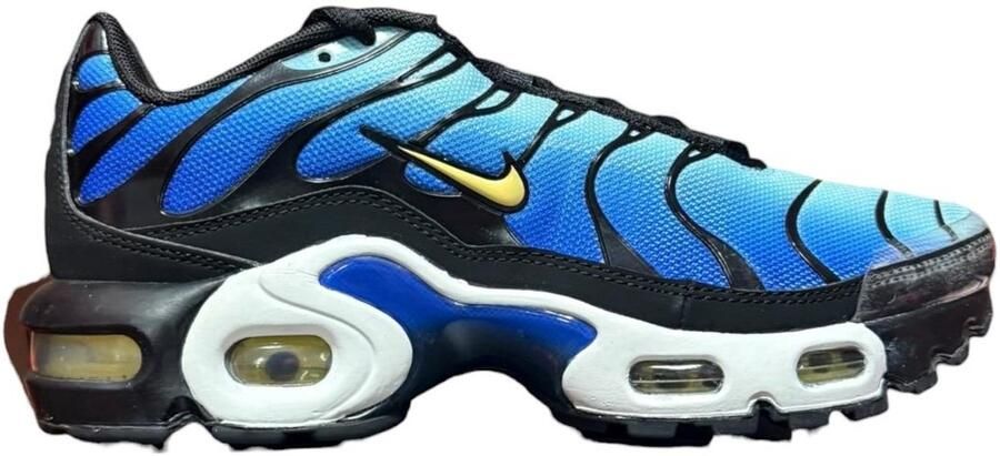 Nike Air Max Plus Sneakers Kinderen Blauw Wit