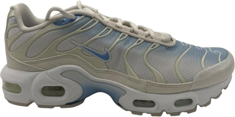 Nike Air Max Plus Sneakers Wit Blauw