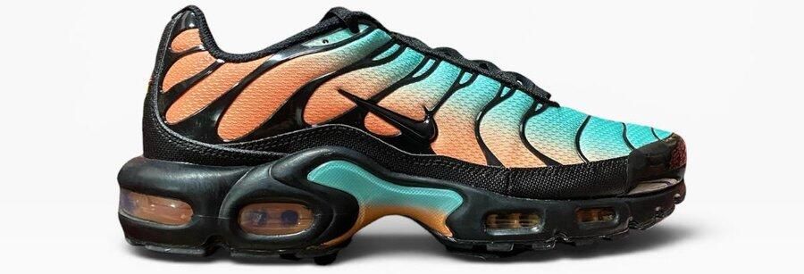 Nike Air Max Plus TN Sneakers Mannen Aurora Green