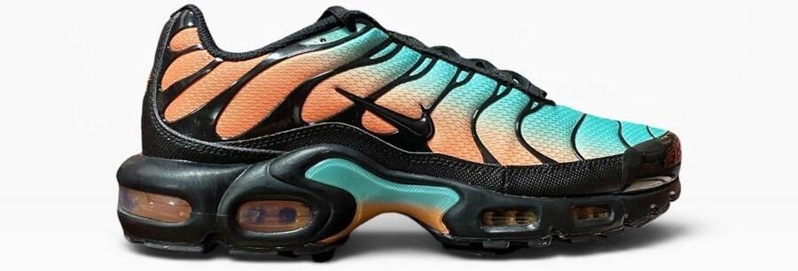 Nike Air Max Plus TN Sneakers Mannen Aurora Green