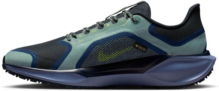 Nike Waterdichte hardloopschoenen voor heren (straat) Pegasus 41 GORE-TEX Groen- Heren Groen