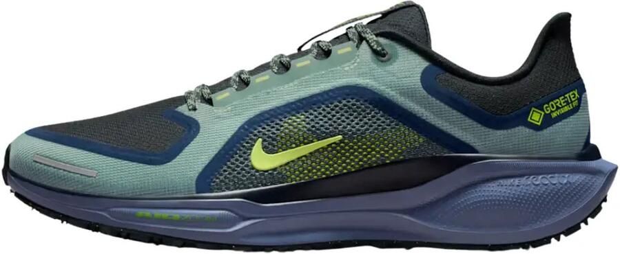 Nike Waterdichte hardloopschoenen voor heren (straat) Pegasus 41 GORE-TEX Groen- Heren Groen