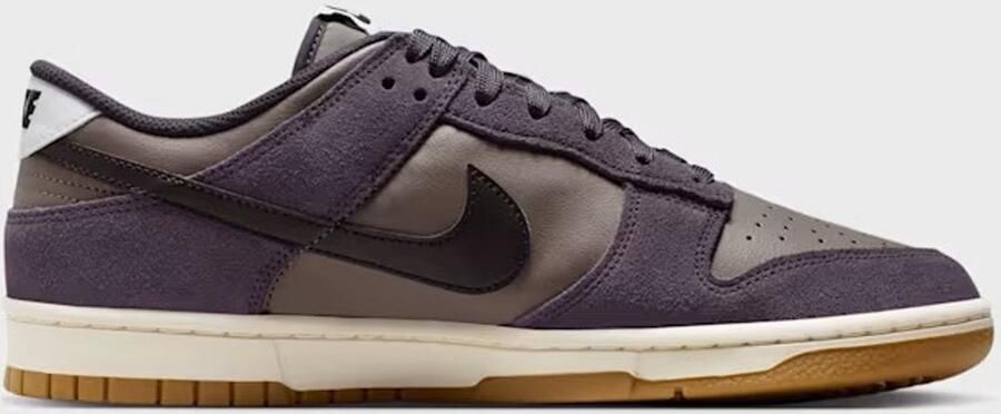 Nike Dunk Low Retro SE Men bruin Schoenen