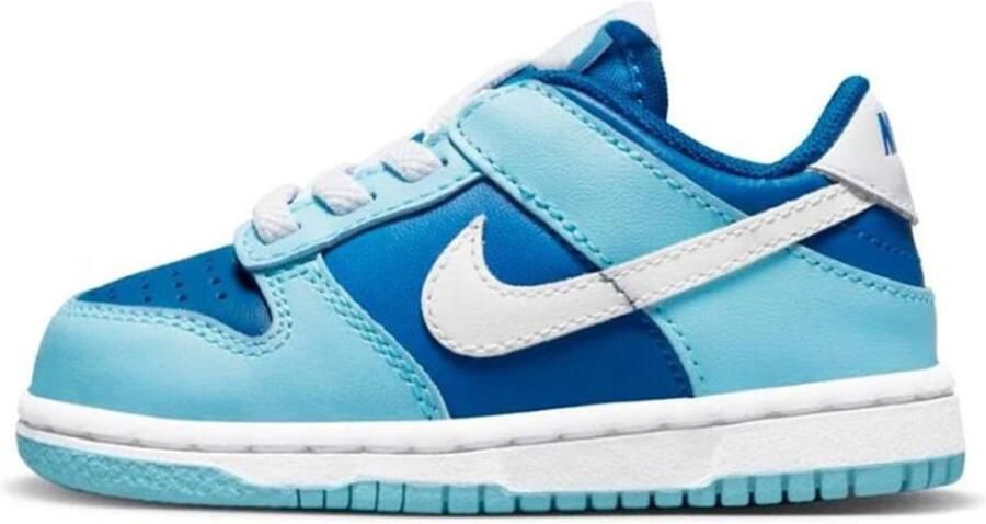 Nike Dunk Low Argon (2022) (TD)