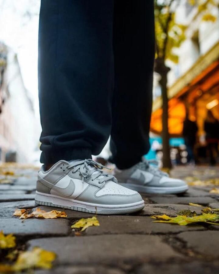 Nike Lage Sneakers Dunk Low Grey Fog