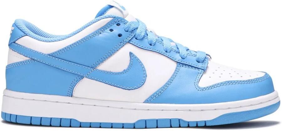 Nike Dunk Low Wit Blauw Sneakers Limited edition