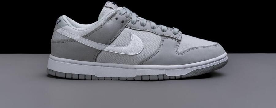 Nike Dunk Low LX Light Smoke Grey (w) FB7720-002 Grijs Schoenen