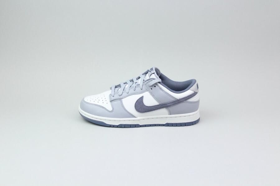 Nike Dunk Low Retro SE Wit Platinum Tint Pure Platinum Light Carbon Wit Dunk Lifestyle Heren Sneakers voor Mannen
