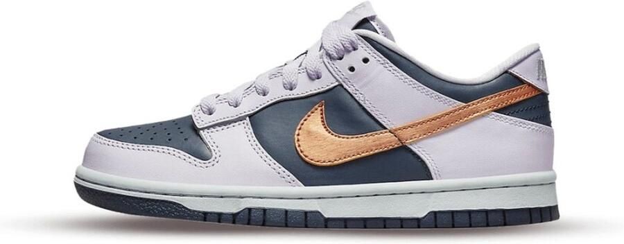 Nike Dunk Low SE Kinderschoenen Blauw