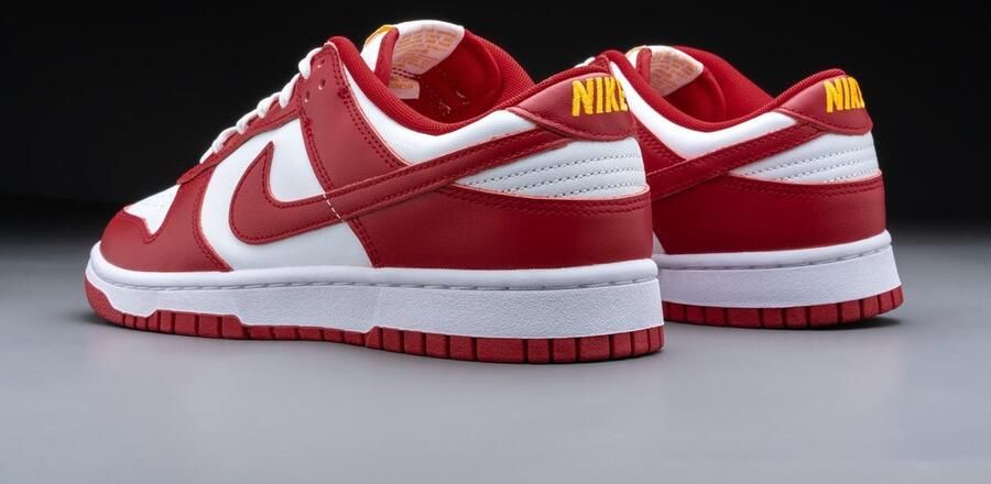 Nike Dunk Low Next Nature Gym sneakers Nike Rood - Foto 9