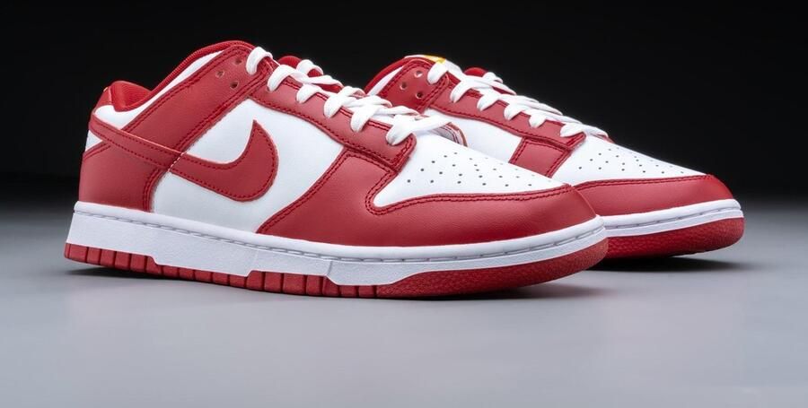 Nike Dunk Low Next Nature Gym sneakers Nike Rood - Foto 5