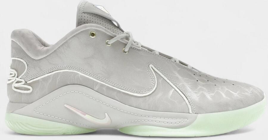 Nike LeBron 22 Dunk (Translucent Outsole)
