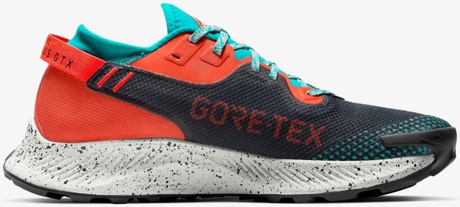 Nike Pegasus Trail 2 GORE-TEX