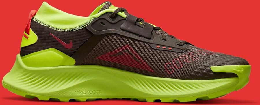 Nike Pegasus Trail 3 GORE TEX Trailrunningschoenen voor Bruin