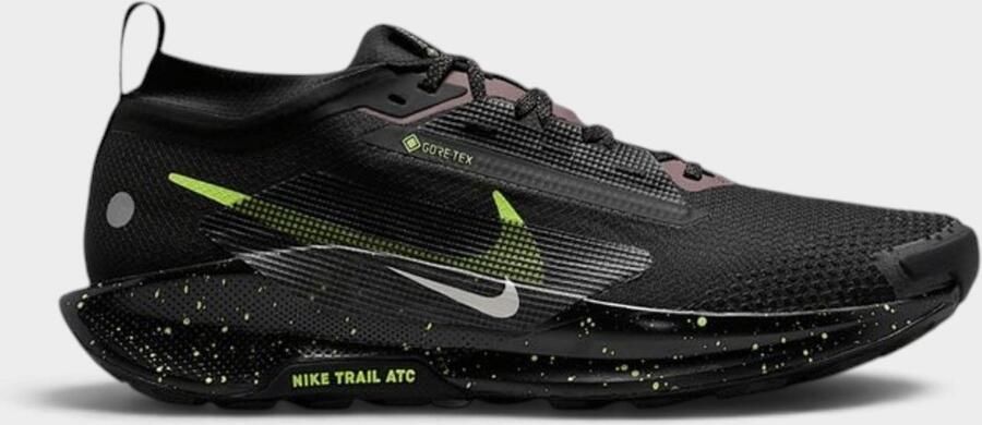 Nike Trail Pegasus Trail 5 GORE-TEX (Men) - Foto 1