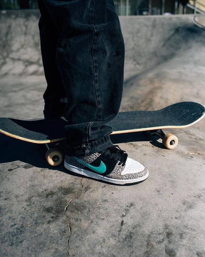 Nike SB Dunk Low atmos Elephant
