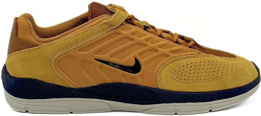 Nike Lage Sneakers Sb Vertebrae