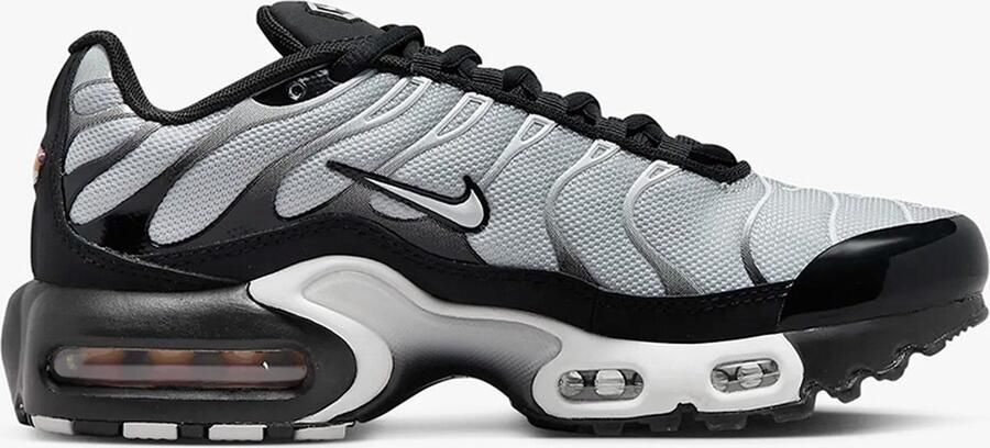 Nike Sneakers Air Max Plus Smoke Fade