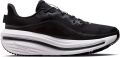 Nike Winflo 12 Dames Hardloopschoenen Hv9273-002 Kleur Zwart - Zwart