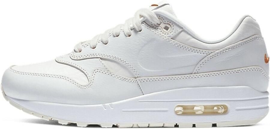 Nike Wmns Air Max 1 ( DC9204-100)
