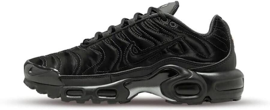 Nike WMNS AIR MAX PLUS FV1169-001 Dames Sneakers Grijs