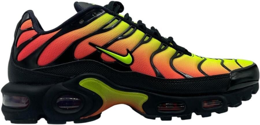 Nike Lage Sneakers Wmns Air Max Plus Tn Se