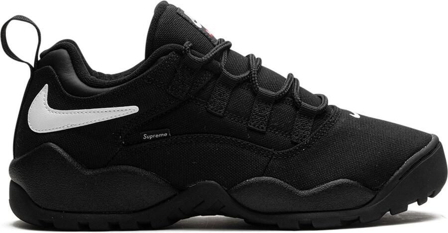 Nike x Supreme SB Darwin Low Black sneakers