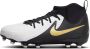 Nike Phantom Luna 2 Academy FG Kids White Metallic Gold Coin Black - Thumbnail 2