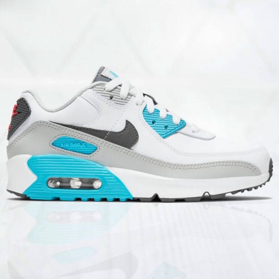 Nike Air Max 90 LTR Sneakers Wit Grijs Blauw Rood