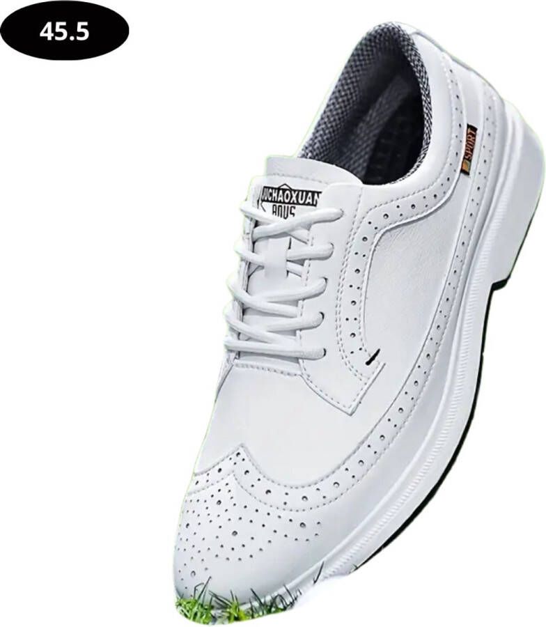 Nivard Golfschoenen Heren Sneakers Golfkleding Golfschoenen Antislip Waterdicht Golfen Wit