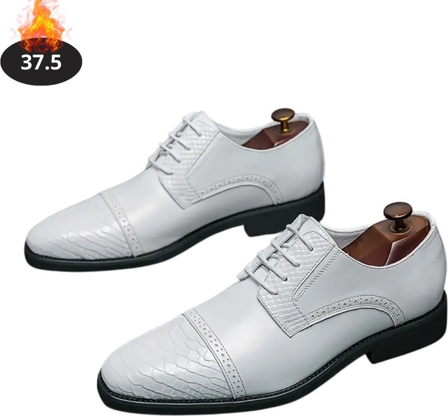 Nivard Nette Schoenen Heren Business Schoenen Bruiloft Kantoorschoenen Met Veters Donkerbruin