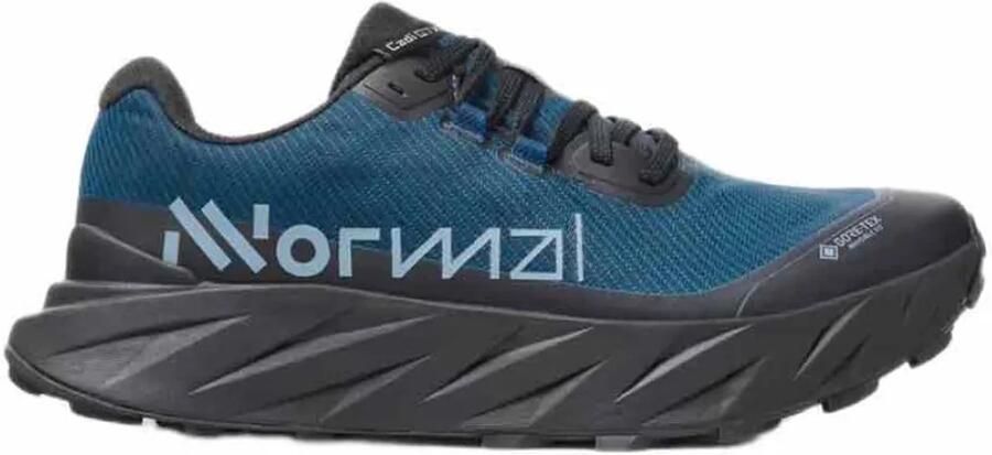 NNormal Cadí Gore-tex Trailschoenen Blauw 2 3 Man