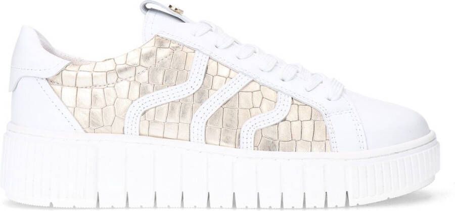 No Stress Dames Witte leren sneakers met gouden croco details