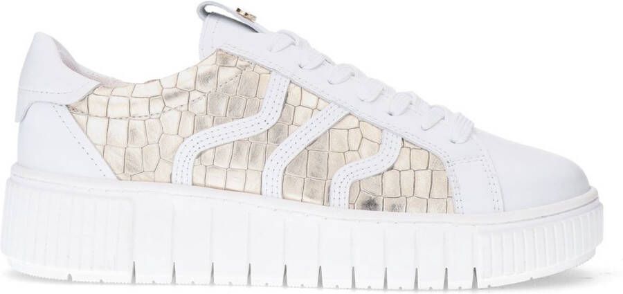 No Stress Dames Witte leren sneakers met gouden croco details